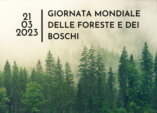 giornata mondiale delle foreste e dei boschi.png